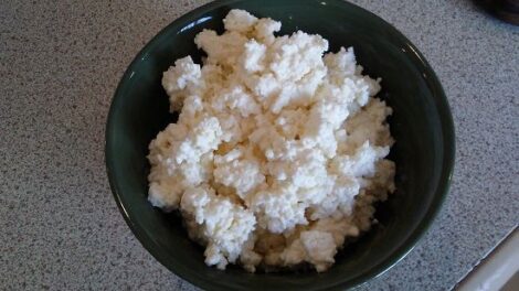 Homemade Cottage Cheese Image
